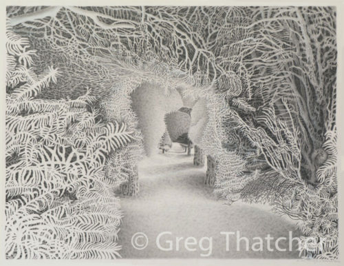 Greg Thatcher - Yew Trees 76