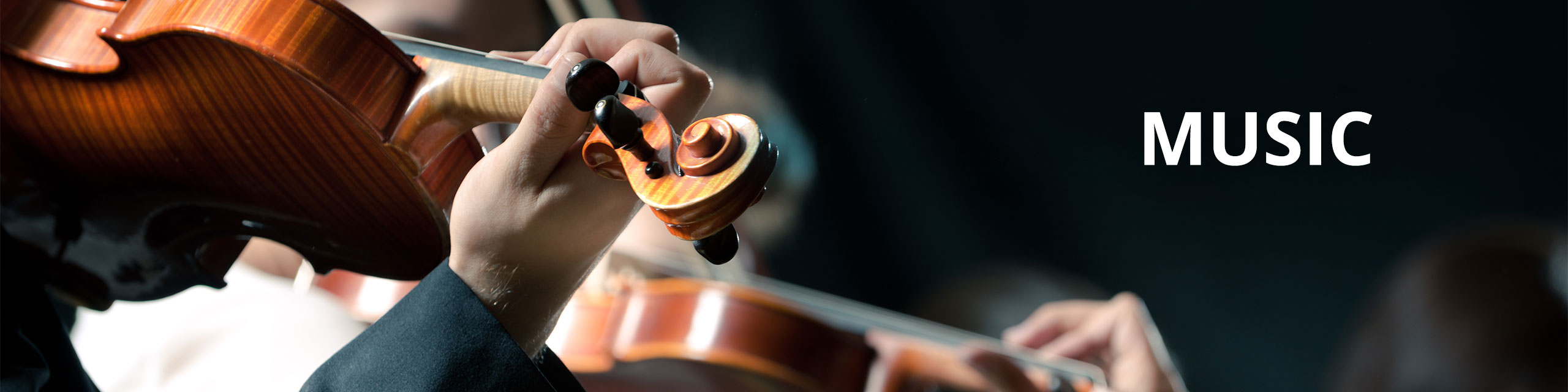 AAE Music Desktop Banner